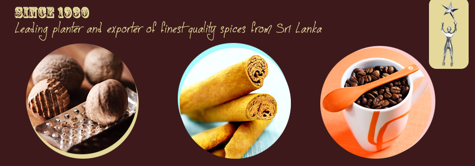 Leading planter and exporter of quality spices from Sri Lanka